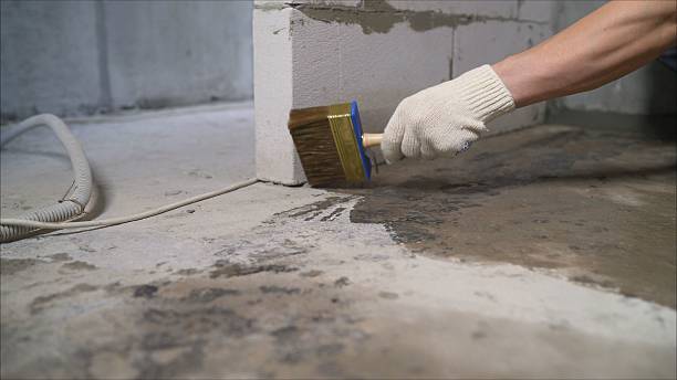 24/7 Emergency Emergency Waterproofing experts in Lawton, MI